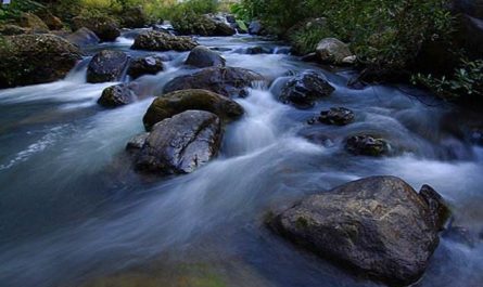 ¿Qué significa soñar con agua que fluye?