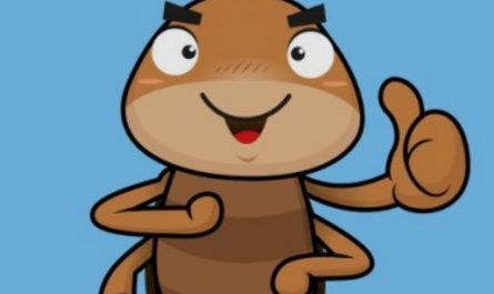 ¿Qué significa soñar con grillos?