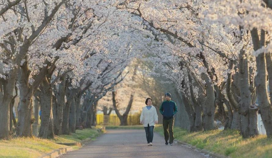 ¿Qué significa soñar con caminar?