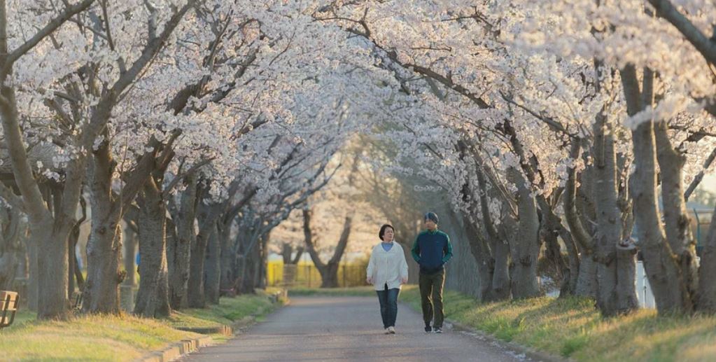 ¿Qué significa soñar con caminar?