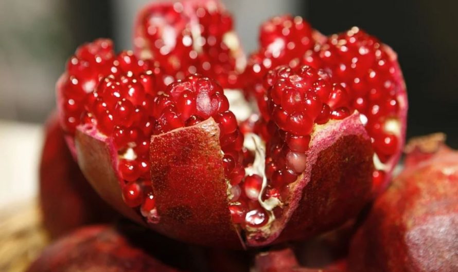 ¿Qué significa soñar con granadas?