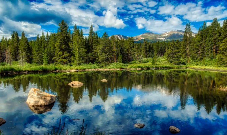 ¿Qué significa soñar con un estanque?