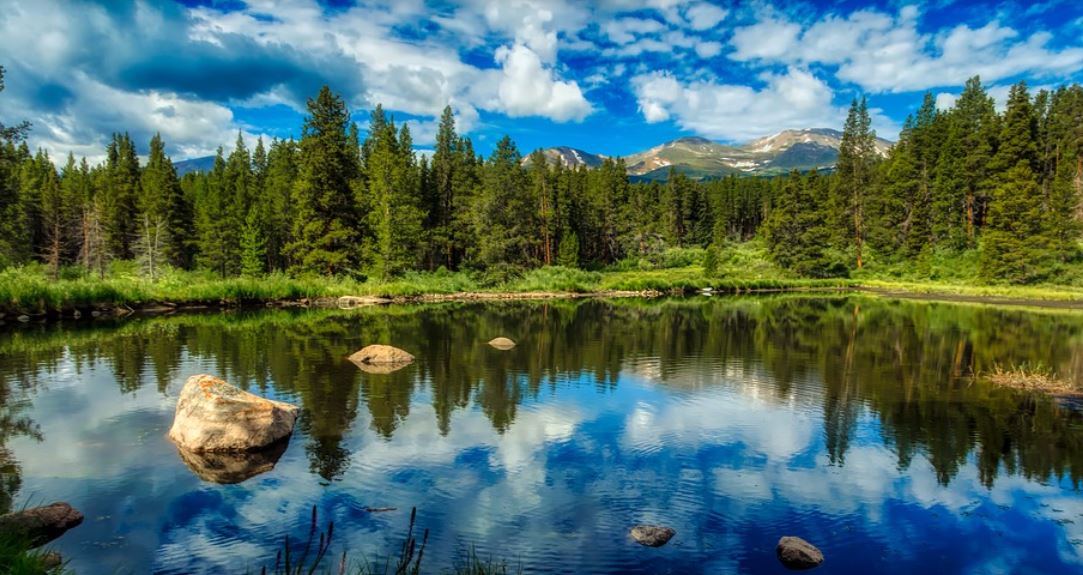 ¿Qué significa soñar con un estanque?