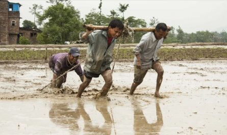 ¿Qué significa soñar con barro?