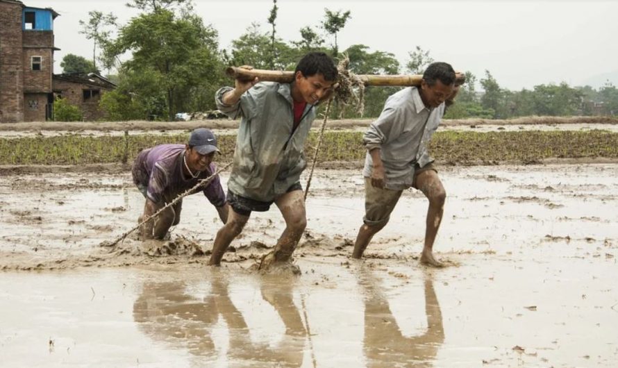 ¿Qué significa soñar con barro?