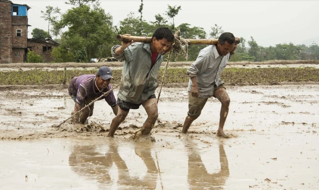 ¿Qué significa soñar con barro?