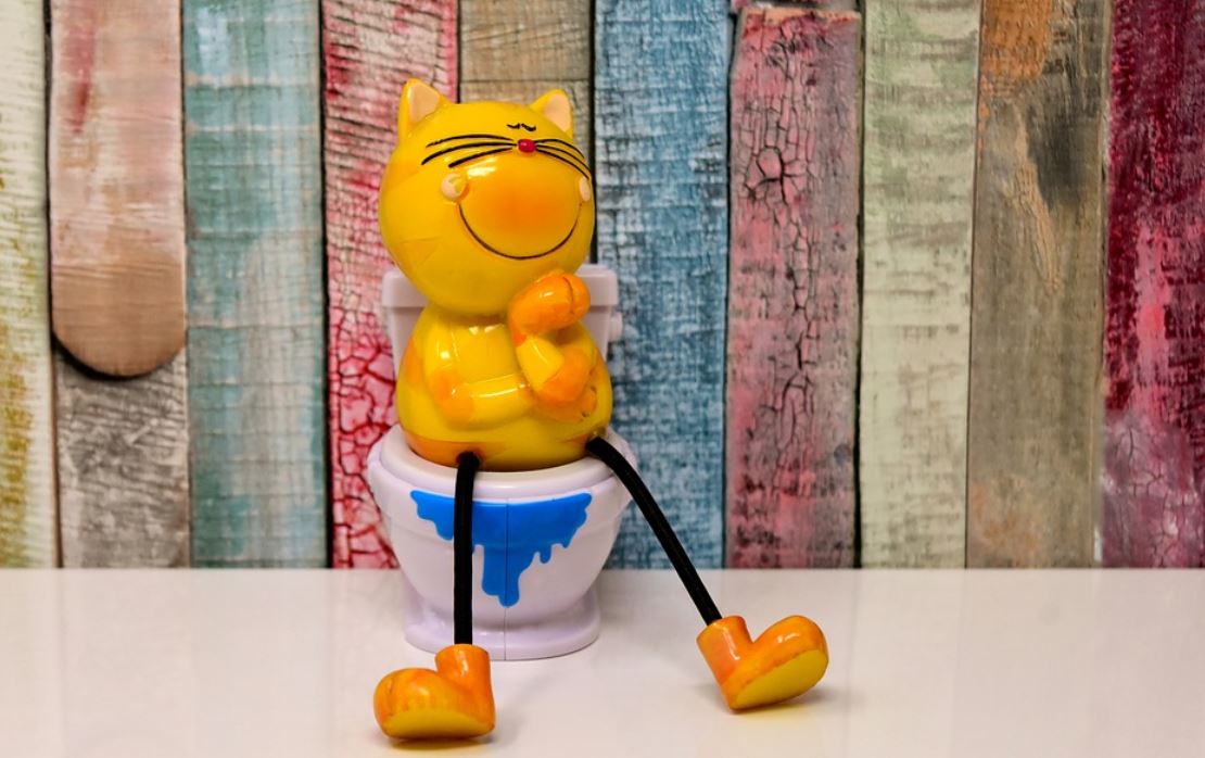 ¿Qué significa soñar con defecar?