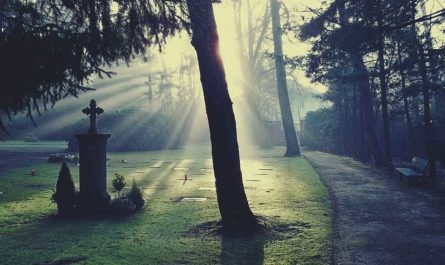 ¿Qué significa soñar con una persona muerta?