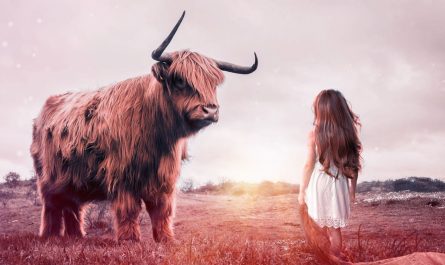 ¿Qué significa soñar con un toro?