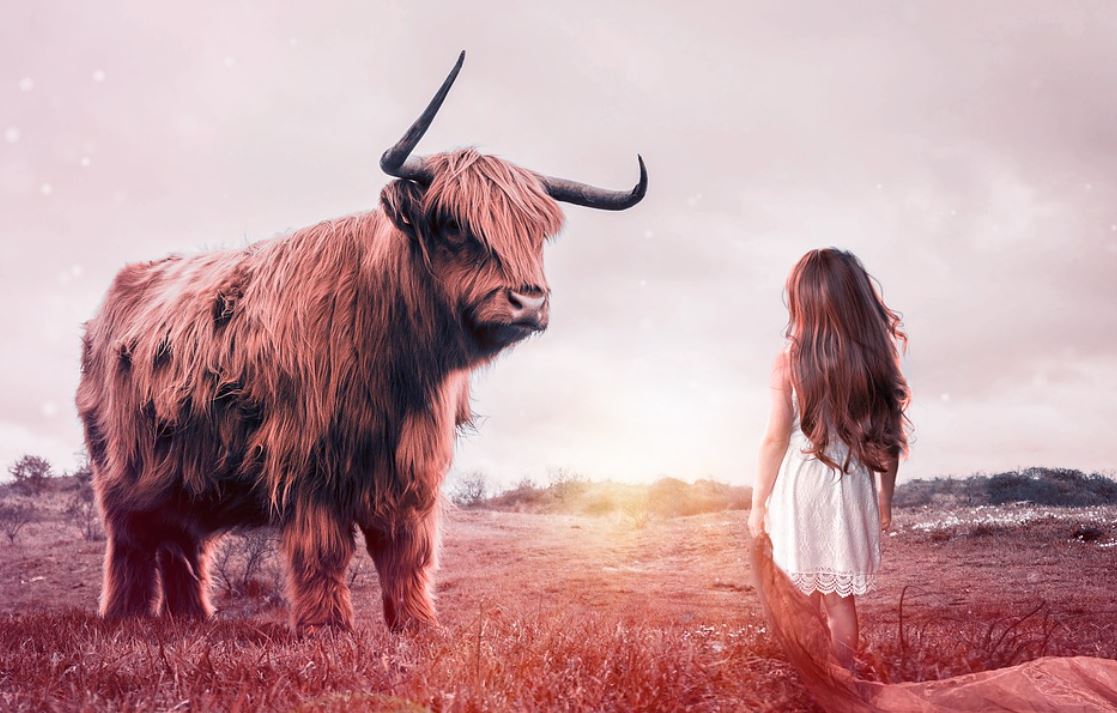 ¿Qué significa soñar con un toro?