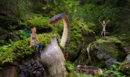 18 Significados de Soñar con Ser Perseguido por una Serpiente