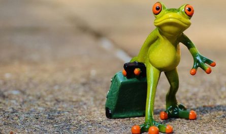 15 Significados de Soñar con Ranas