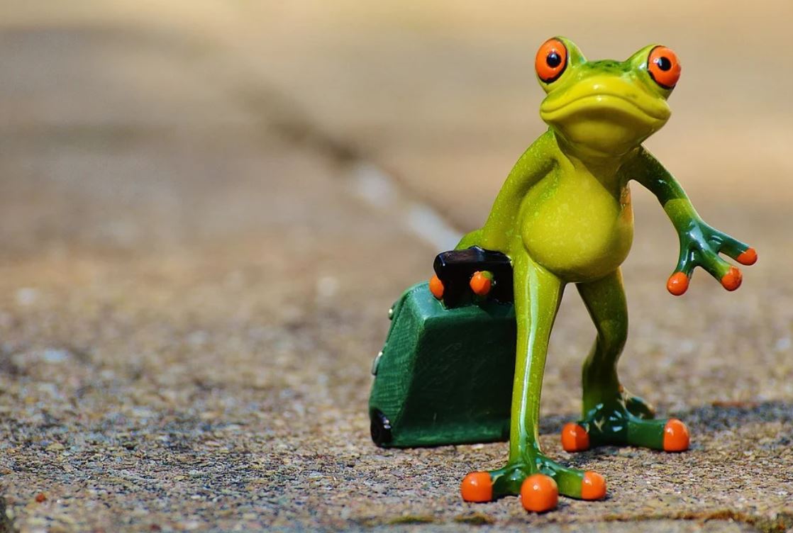 15 Significados de Soñar con Ranas