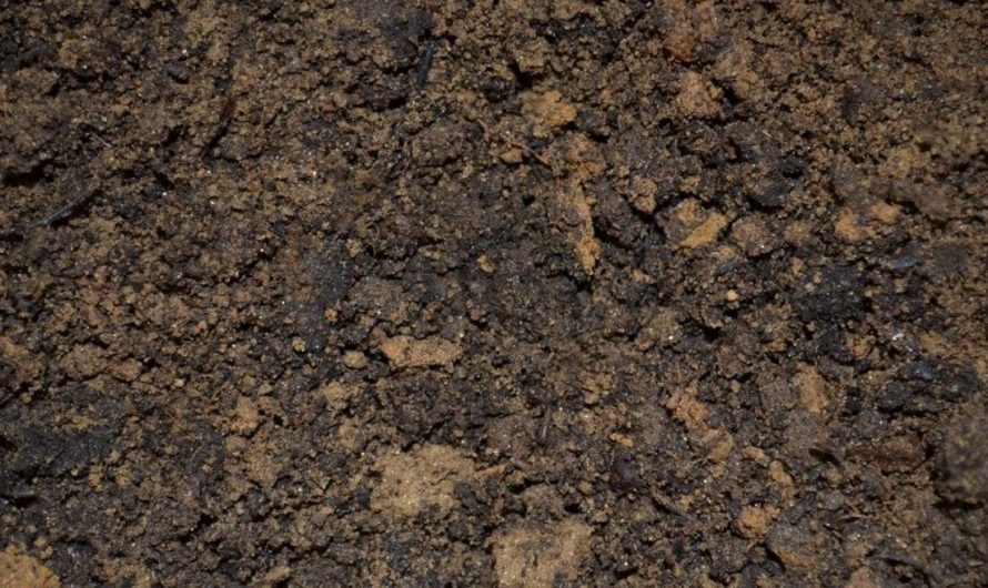 12 Significados de Soñar con Tierra