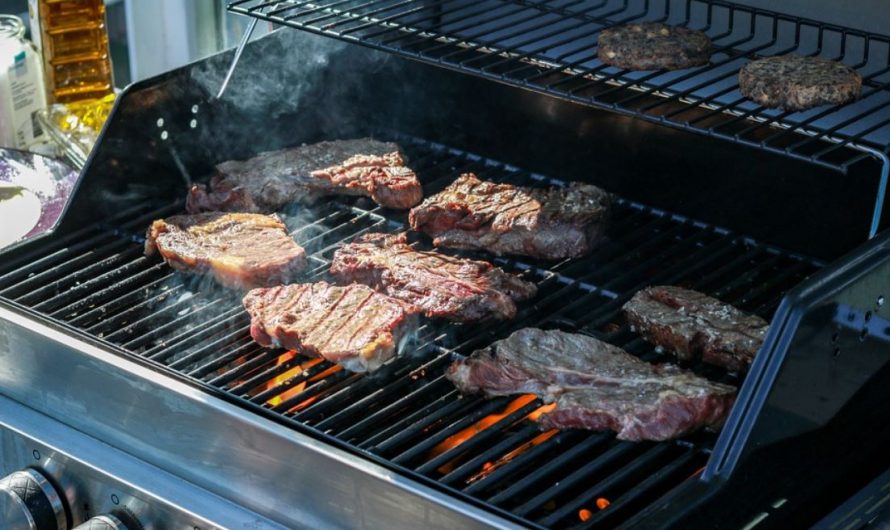 20 Significados de Soñar con Barbacoa