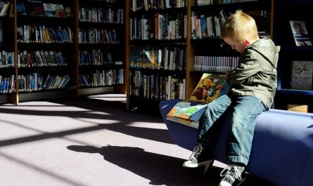 14 Significados de Soñar con Bibliotecas