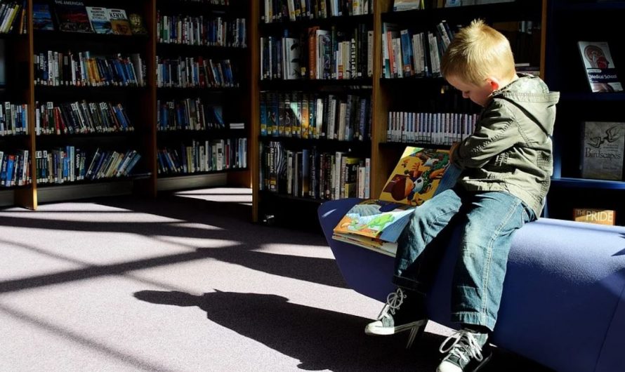 14 Significados de Soñar con Bibliotecas