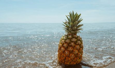 20 Significados de Soñar con Piñas