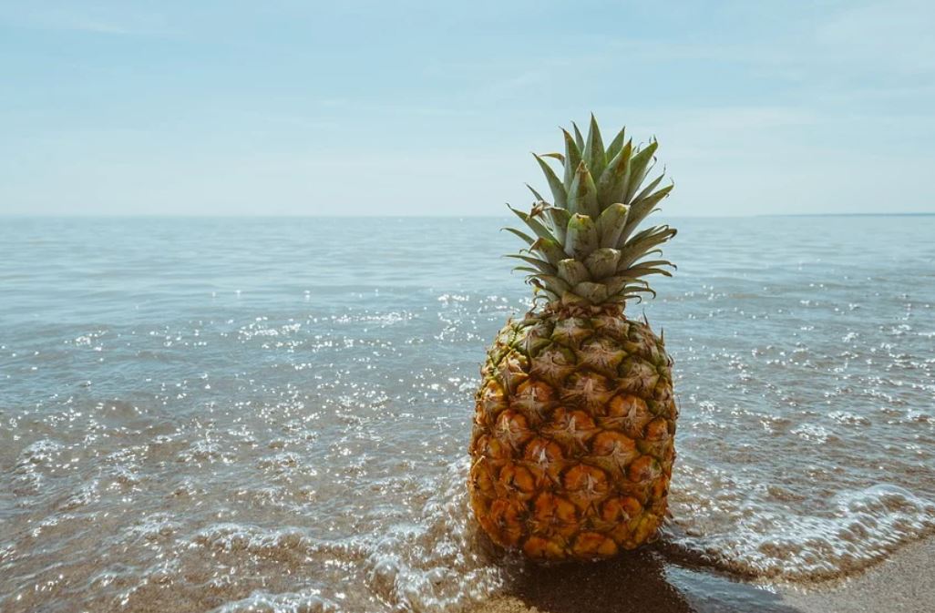 20 Significados de Soñar con Piñas