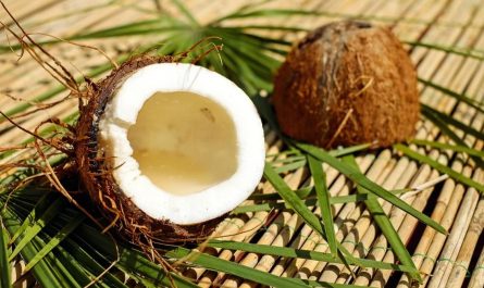 14 Significados de Soñar con Cocos