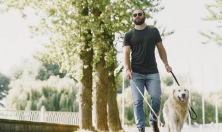 13 Significados de Soñar con Personas Ciegas