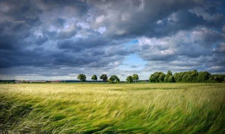 20 Significados de Soñar con Vientos Fuertes