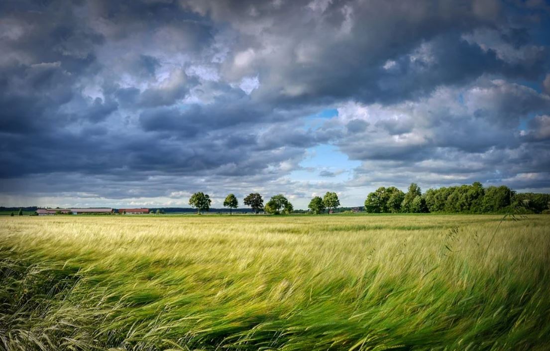 20 Significados de Soñar con Vientos Fuertes