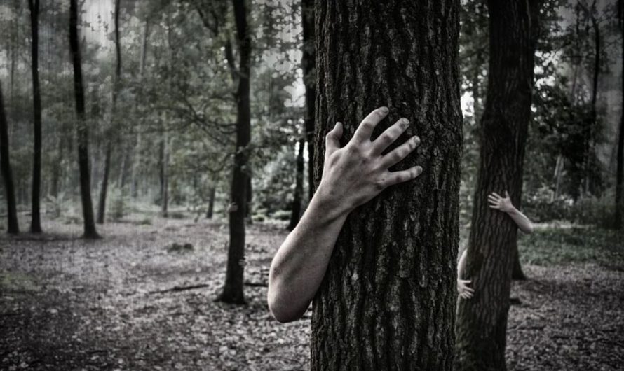 13 Significados de Soñar con Muertos que Regresan a la Vida