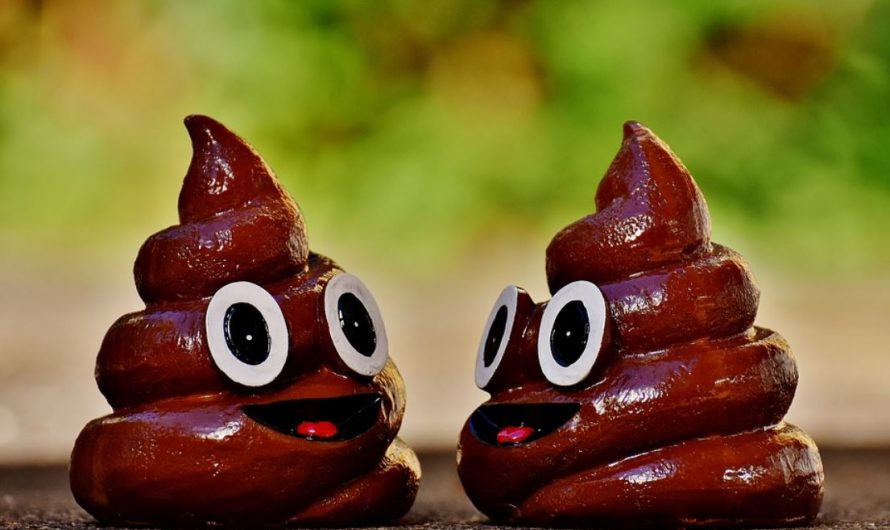 17 Significados de Soñar con Bebé Haciendo Caca