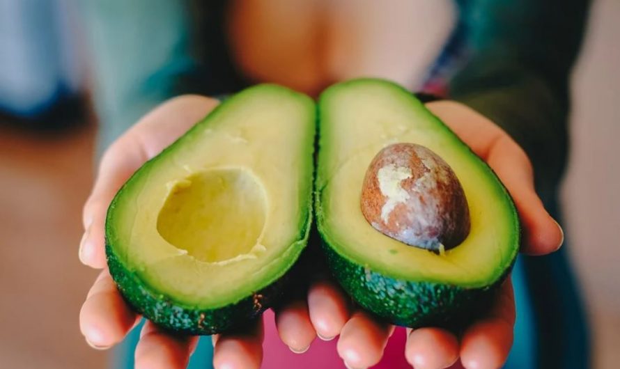 20 Significados de Soñar con Aguacates