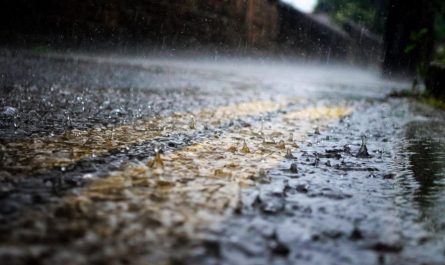 20 Significados de Soñar con Lluvia