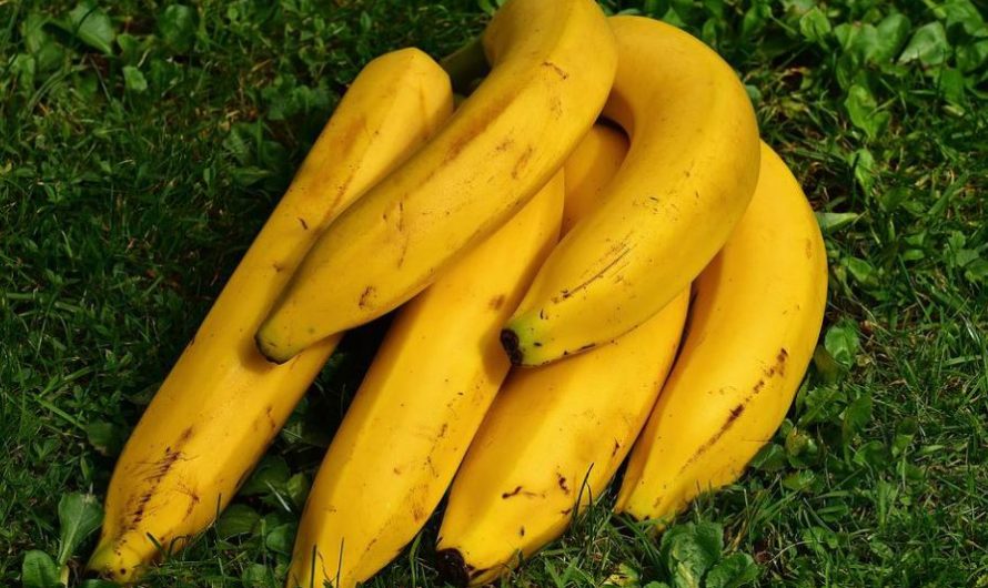 16 Significados de Soñar con Plátanos