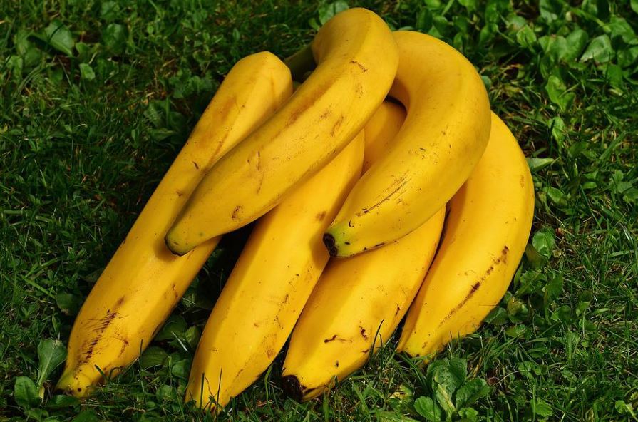 16 Significados de Soñar con Plátanos