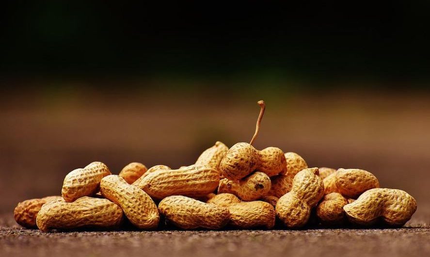 14 Significados de Soñar con Cacahuetes