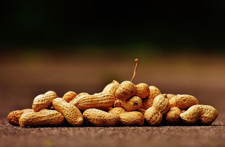 14 Significados de Soñar con Cacahuetes