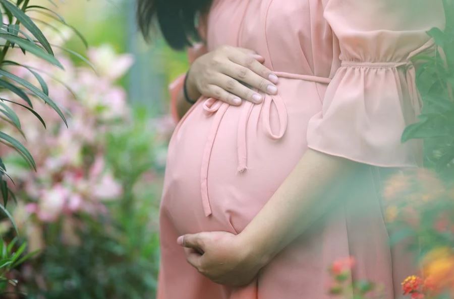 15 Significados de Soñar con Embarazo
