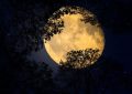 17 Significados de Soñar con Luna Llena