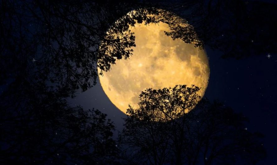 17 Significados de Soñar con Luna Llena