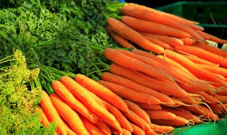 15 Significados de Soñar con Zanahorias