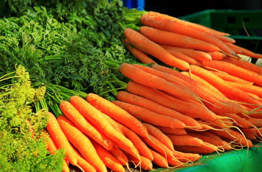 15 Significados de Soñar con Zanahorias
