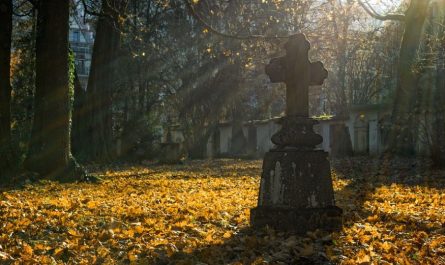 15 Significados de Soñar con la Muerte de tu Padre