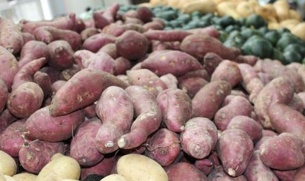 16 Significados de Soñar con Batatas