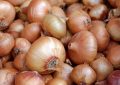 21 Significados de Soñar con Cebollas