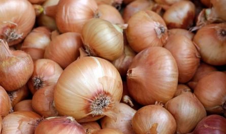 21 Significados de Soñar con Cebollas