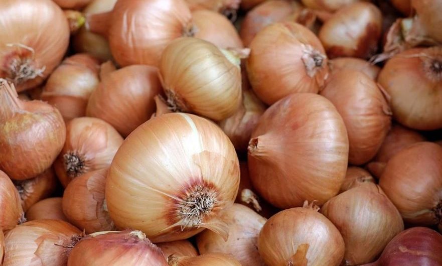 21 Significados de Soñar con Cebollas