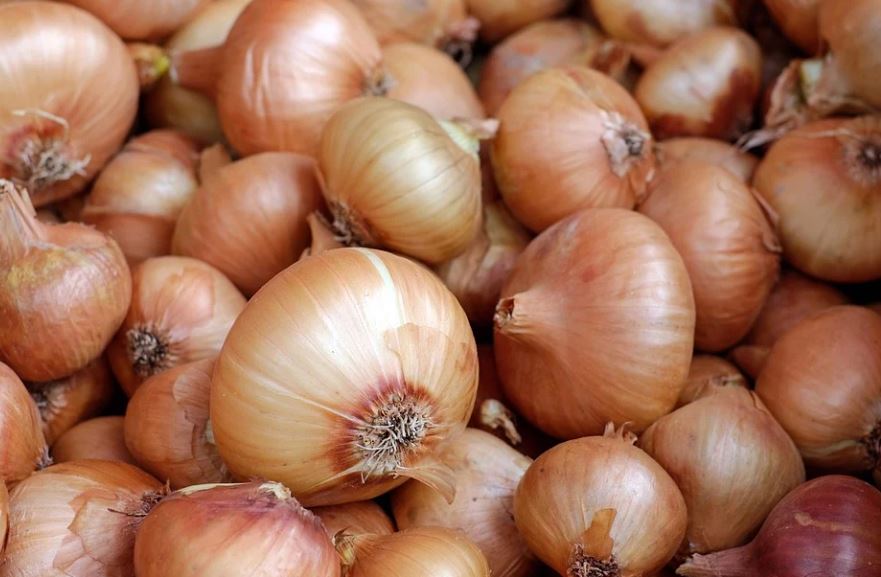 21 Significados de Soñar con Cebollas