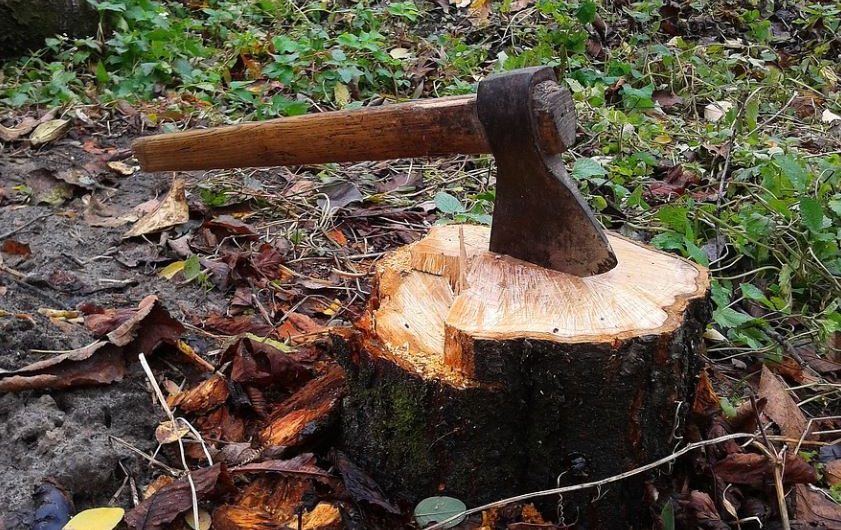 ¿Qué significa soñar con un hacha? 14 significados simbólicos