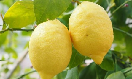 soñar con limones