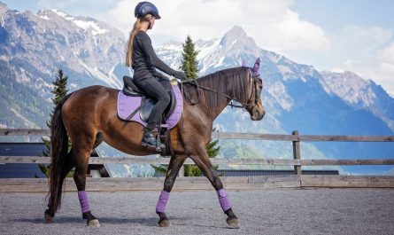 ¿Qué significa soñar con montar a caballo? 10 interpretaciones simbólicas