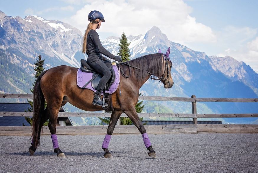 ¿Qué significa soñar con montar a caballo? 10 interpretaciones simbólicas